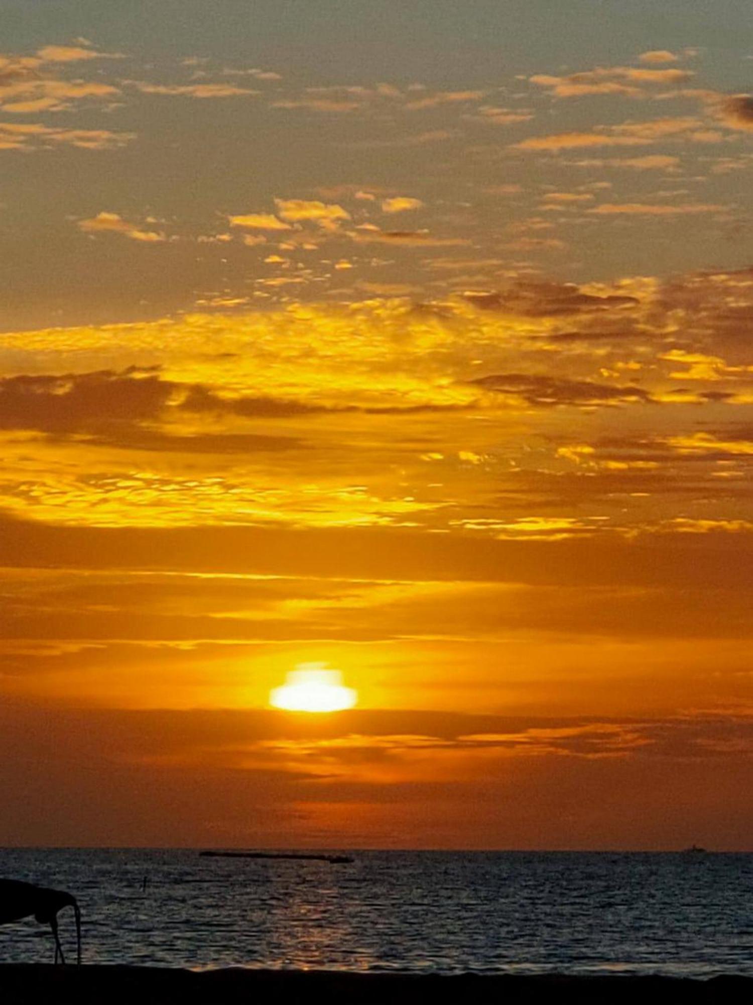 Wind Breeze Sunset View Inn Guraidhoo (Kaafu Atoll) Exterior foto